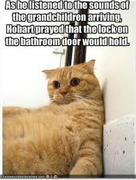 Pin On Amusements My Style