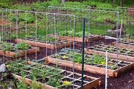 I used a 1/2″ drill bit here. 53 Tomato Trellis Designs Completely Free Epic Gardening
