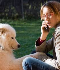 In the yard, use privacy fencing to cut off views to neighboring yards or the street. Why Your Dog Barks When You Re On The Phone Dog Training Dog Behavior