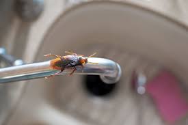 Check spelling or type a new query. Natural Pest Control Eartheasy Guides Articles Eartheasy Guides Articles