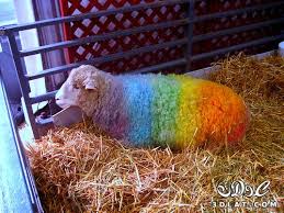 We did not find results for: ØµÙˆØ± Ø®Ø±ÙØ§Ù† Ø¨Ù…Ù†Ø§Ø³Ø¨Ø© Ø¹ÙŠØ¯ Ø§Ù„Ø§Ø¶Ø­Ù‰ Sheep Ø®Ø±ÙˆÙ Ø§Ù„Ø¹ÙŠØ¯ Ø§Ù„Ù…Ù‡Ø§Ø¬Ø±Ø©