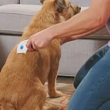You need to prepare 2 aa. Best Electric Flea Comb For Dogs And Cats Flea Doctor Thesuperboo