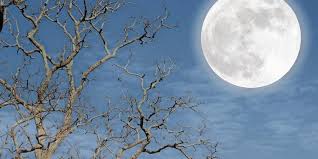 Minutengenau mit mondzeichen und vollmond faq / f&a. Vollmond Blue Moon Und Mondfinsternis An Einem Tag