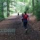 Brechfa Trail Races: Half Marathon & Marathon event image
