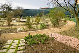 (pour obtenir les droits d'exploitation commerciale de cette vidéo, veuillez contacter. Jardin Botanique Henri Gaussen Wikipedia