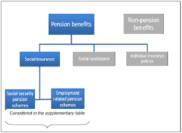 Https Www Oecd Org Statistics Data Collection Guidelines 20on 20the 20oecd 20table 20on 20social 20insurance 20pension 20schemes Pdf