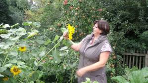 Der garten sollte einen ruhigen ort sein, wo ein gefühl von frieden und harmonie herrscht. Gemusegarten Nach Feng Shui