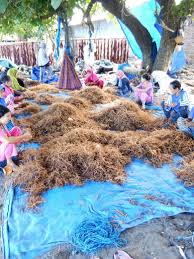 Gambar lucu emang selalu bisa jadi mood booster, apalagi kalau dibagikan di grup wa. Djpb Takalar On Twitter Pagi Sobat Budidaya Tim Rumput Laut Lagi Panen Bibit Rumput Laut Kultur Jaringan Di Kebun Bibit Teluk Laikang Yang Akan Dikirim Ke Minahasa Sulawesi Utara Susipudjiastuti S Soebjakto Hartantonono Kkpgoid