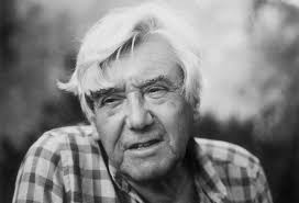 Comentarios al infrarrealismo de Matta