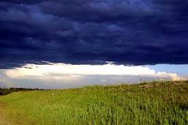 You Can Do Something About the Weather