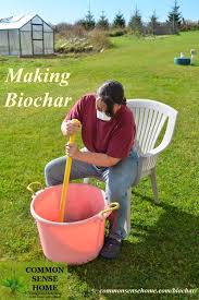 Biochar has been shown to have some benefits in the garden and it might be a good amendment for soilless potting mixes, but i readily endorse biochar use, but like any soil remedy or amendment, it must be made to match the soil type and purpose. Biochar Amazon Secret Rediscovered