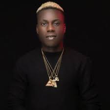 Zlatan junior net worth / real name of zlatan junior zlatan ibile net worth 2021 biography family cars houses songs and albums webbspy as one of the winningest players of all time we are confident zlatan ibrahimovic net worth $200 million. Junior Boy Biography Net Worth Career Songs Rosbena