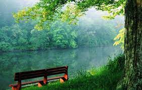 Download Nature Wallpapers At Http Www Hdwallcloud Com Download Nature Wallpapers Green Nature Wallpaper Nature Wallpaper Hd Nature Wallpapers