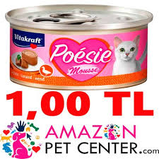 Amazonpetcenter Com Adli Kullanicinin Amazonpetcenter Com Panosundaki Pin Kedi Yastiklar
