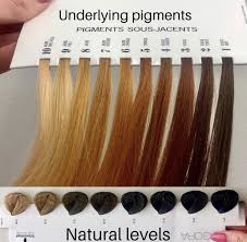 From Blonde To Brunette Explaining The Journey To A Client In 2020 Hair Color Techniques Wella Hair Color Hair Color