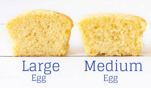 Also eggs contain several structures including membranes and air pockets and such, but the main parts of the. Eggs Does Size Matter Charlotte S Lively Kitchen