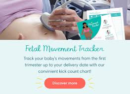 Image result for Fetal Movement Count
