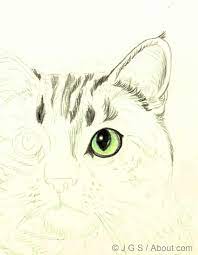 Draw A Majestic Cat In Colored Pencil Color Pencil Drawing Animal Drawings Drawings