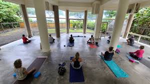 Focus is on exploring the body's range of motion, developing breath capacity and unraveling the external body to the self within. Balancing Monkey Yoga