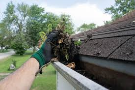 Gutter cleaning and maintenance