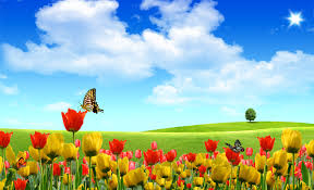 Wallpapers Download Hd Posted By Zoey Walker