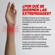 Alguna vez has sentido que se te “duermen” las manos o los pies? 😳 Esto  ocurre cuando los nervios se comprimen o la circulación se reduce, causando  hormigueo o adormecimiento temporal. #Curiosidades #