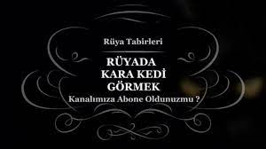 ruyada kara siyah kedi gormek tabiri ve yorumu kedi ruya yorum