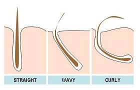 Pin On Hacking Genetics