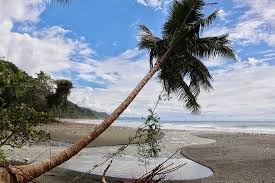 Admission costs $15 for adults; Corcovado Nationalpark Fotos Corcovado Nationalpark Osa Peninsula Reisefotos Tripadvisor