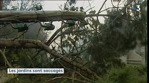Une partie de la france se retrouve dans le noir, son réseau électrique aérien à terre. Tempete De Decembre 1999 France 3 Nouvelle Aquitaine
