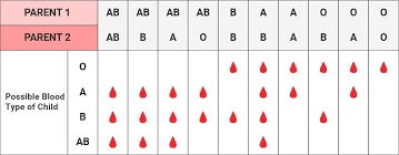 blood type meaning eat according to your blood type chart