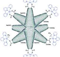 Single-walled carbon nanohorns and their applications ...