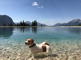 See the most recent reviews. Hopfen Am See Toller Urlaubstipp Fur Den Urlaub Mit Hund Hunde
