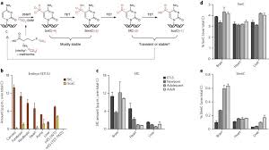 Hence, this study suggests that bio modification of c, mdp and mdp/c with sn rajalakshmi, m., uddandrao, v.v.s., saravanan, g. 5 Formylcytosine Can Be A Stable Dna Modification In Mammals Nature Chemical Biology