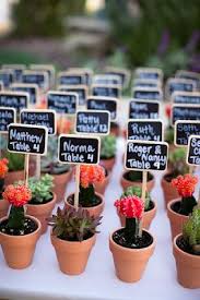 La Fete Cactus Wedding Wedding Decorations Wedding