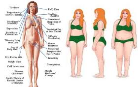 3 Thyroid Diet Principles Women Often Forget About Thyroid Diet Hypothyroidism Diet Thyroid Health
