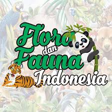 We did not find results for: Flora Dan Fauna Indonesia Posts Facebook