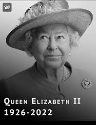 Beautiful stems by Luci