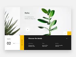 Raika X Dribbble 3x Unique Web Design Website Design Web Layout Design