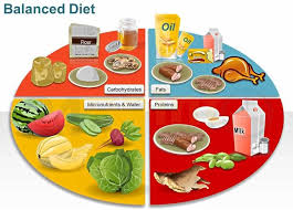 Food Icons And Illustrations Diet Food Chart Balanced