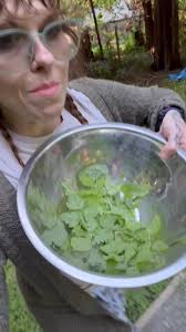 Elizabeth Burdock added a new photo.