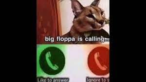 Big Floppa Is Calling You Pick Up The Phone Baby Meme Youtube