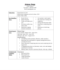 judge my novice resume? looking for a