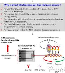 A sensitive electrochemical immunosensor for label-free detection of  Zika-virus protein