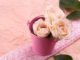 We did not find results for: Bukan Cuma Mawar Deretan Bunga Cantik Ini Cocok Untuk Valentine Indozone Id