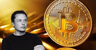 Elon musk says bitcoin prices 'seem high' after record week by. Elon Musk Tweets About Bitcoin Bull Run And Loses 15 Billion