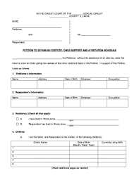 However, if one parent has committed domestic violence a judge will likely grant the victim parent sole physical and/or legal custody. Example Of A Child Visitation Petition Illinois Fill Online Printable Fillable Blank Pdffiller