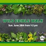 Wild Edible Walk Class