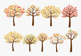 Their branch pattern is dense and ascending, and they sport a rounded or oval crown. Fall Tree Yellow And Red Trees Clip Art Set Autumn Autumn Tree Clipart Hd Png Download Kindpng
