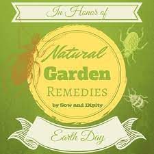 Natural Garden Remedies For Earth Day Garden Pests Garden Remedies Natural Garden